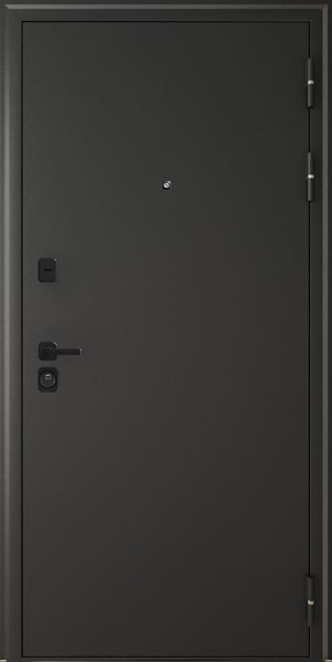 Входная дверь Леон Черный шелк ФЛ-14 Белый матовый Agat